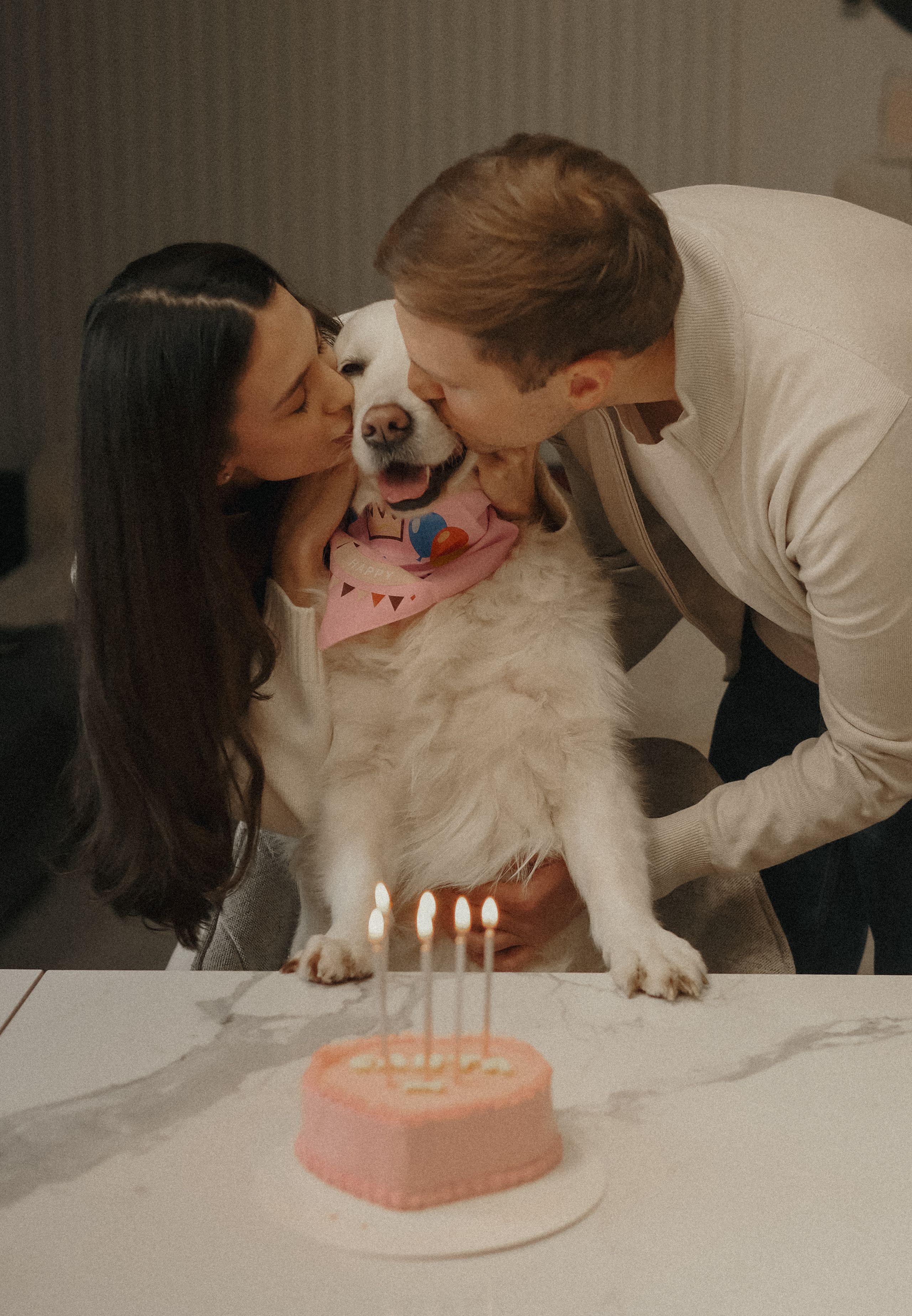 BIRTHDAY DOG 
